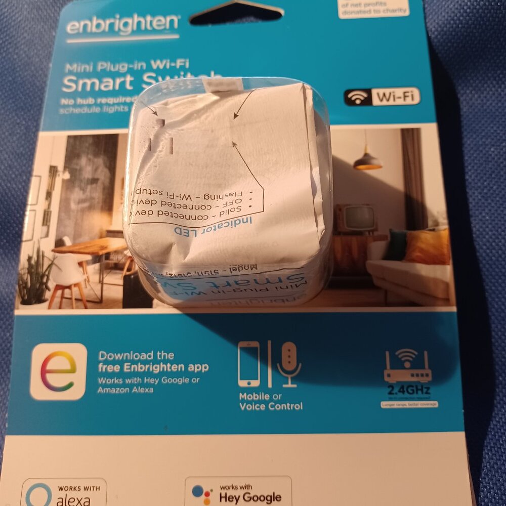Enbrighten Smart Switch